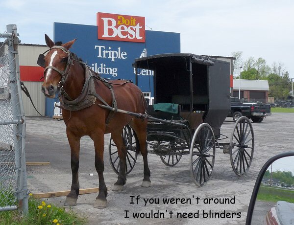 Emotional GC vote confirms horse and buggy as only Adventist transport