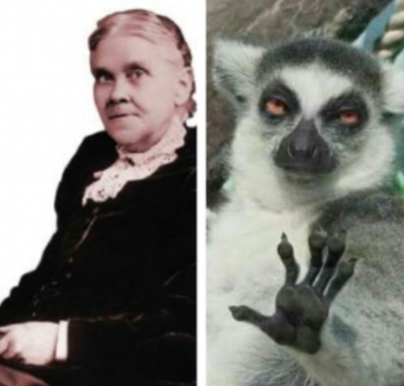 SLIDESHOW: If famous Adventists were animals